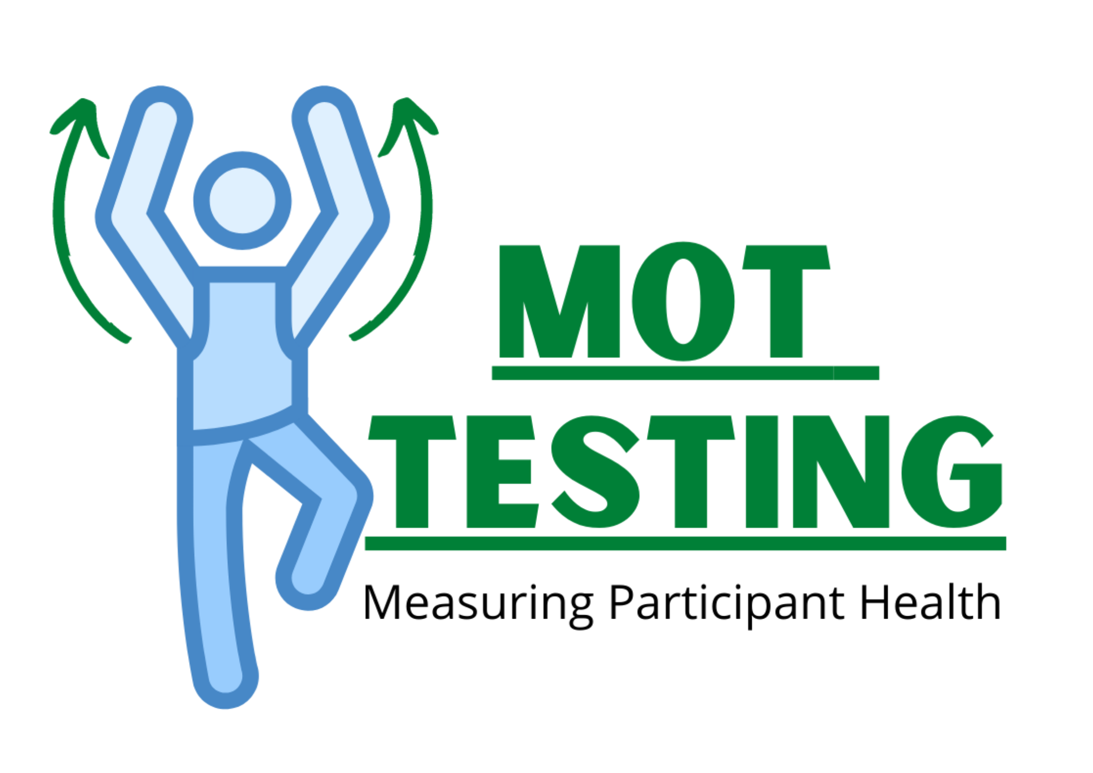 MOT Testing Website Dimensions