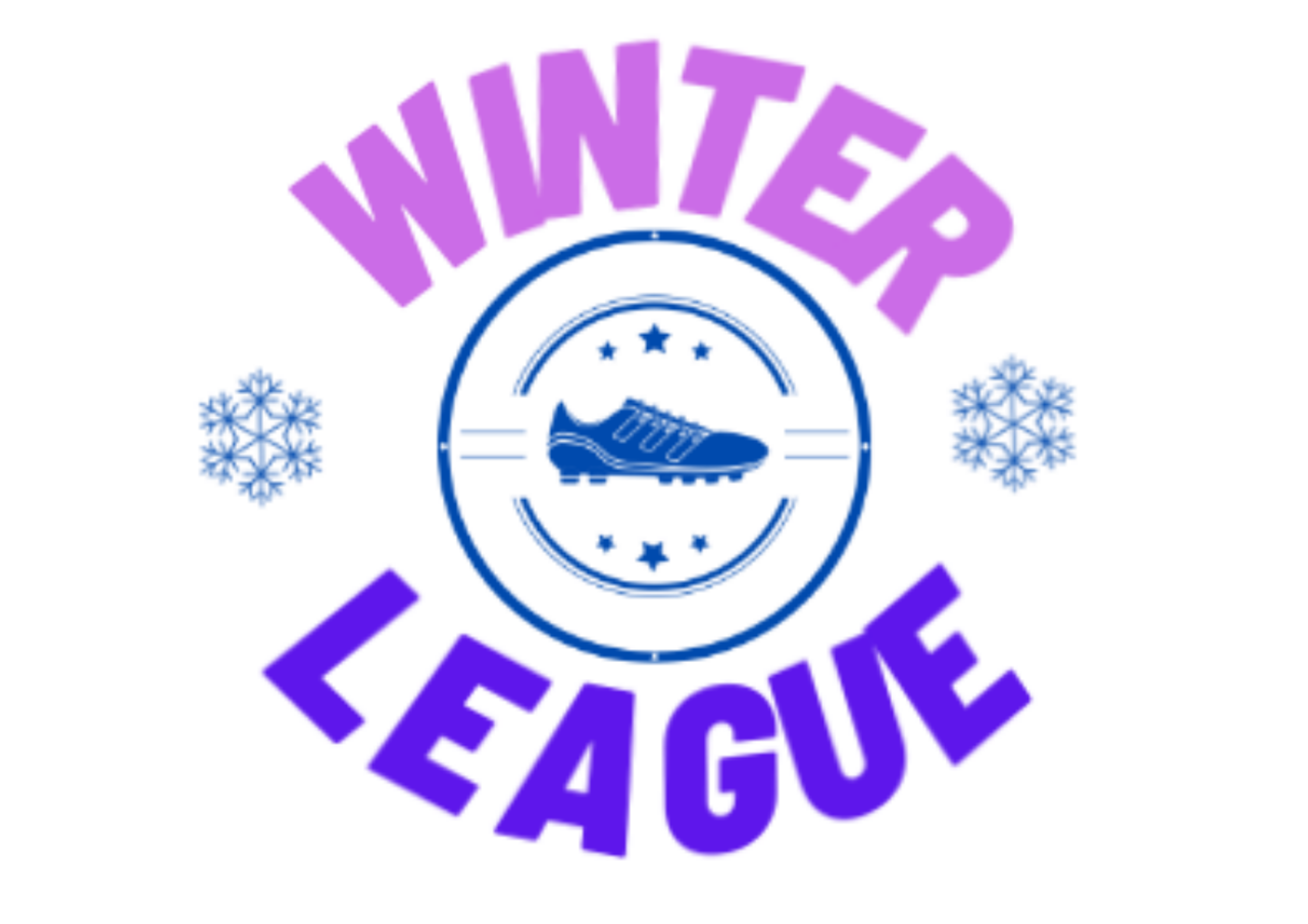 Winter League Website Dimensions